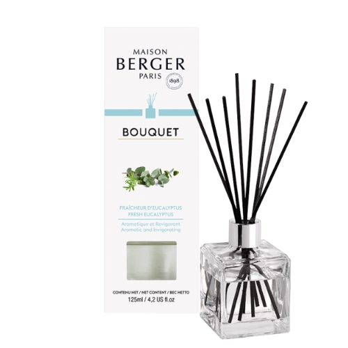 Lampe Berger Geurstokjes – Fresh Eucalyptus · Expo Enschede