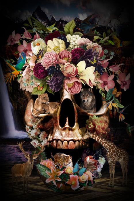 kloof Eervol Anzai GLASSCHILDERIJ – 80x120CM – Skull With Flowers · Expo Enschede